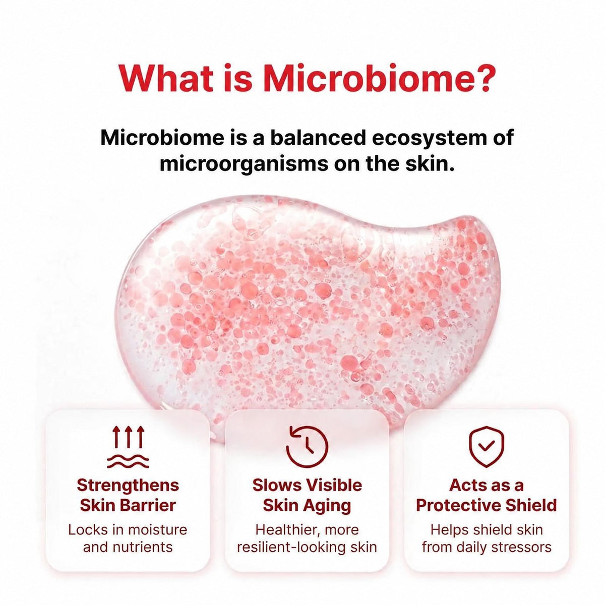 What is the skin microbiome: strengthens the skin barrier, slows visible skin aging, acts as a protective shield