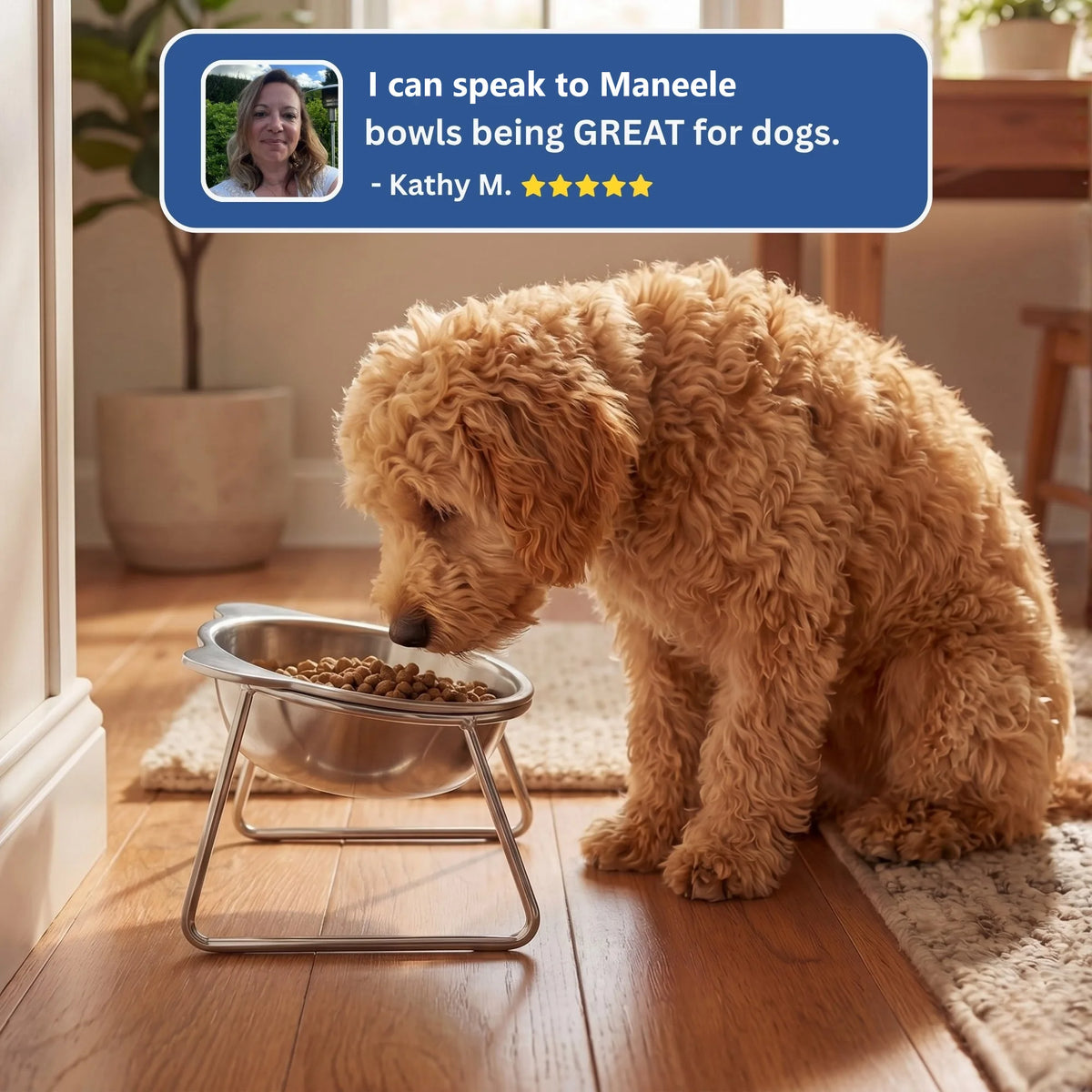 Customer testimonial - Kathy M. on the Maneele Orthopedic Feeding Bowl