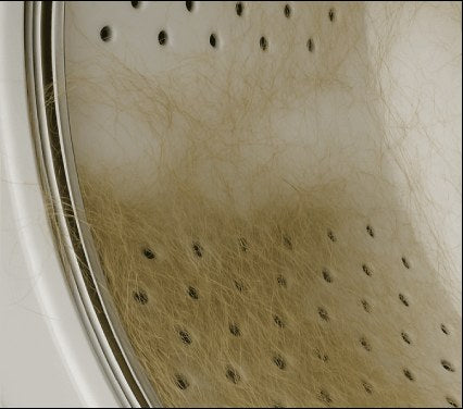 Pet Hair before