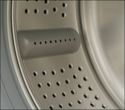 Mold & Mildew after
