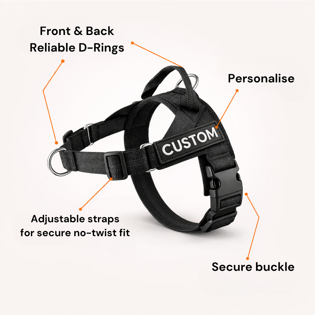 Maneele no-pull dog harness detail