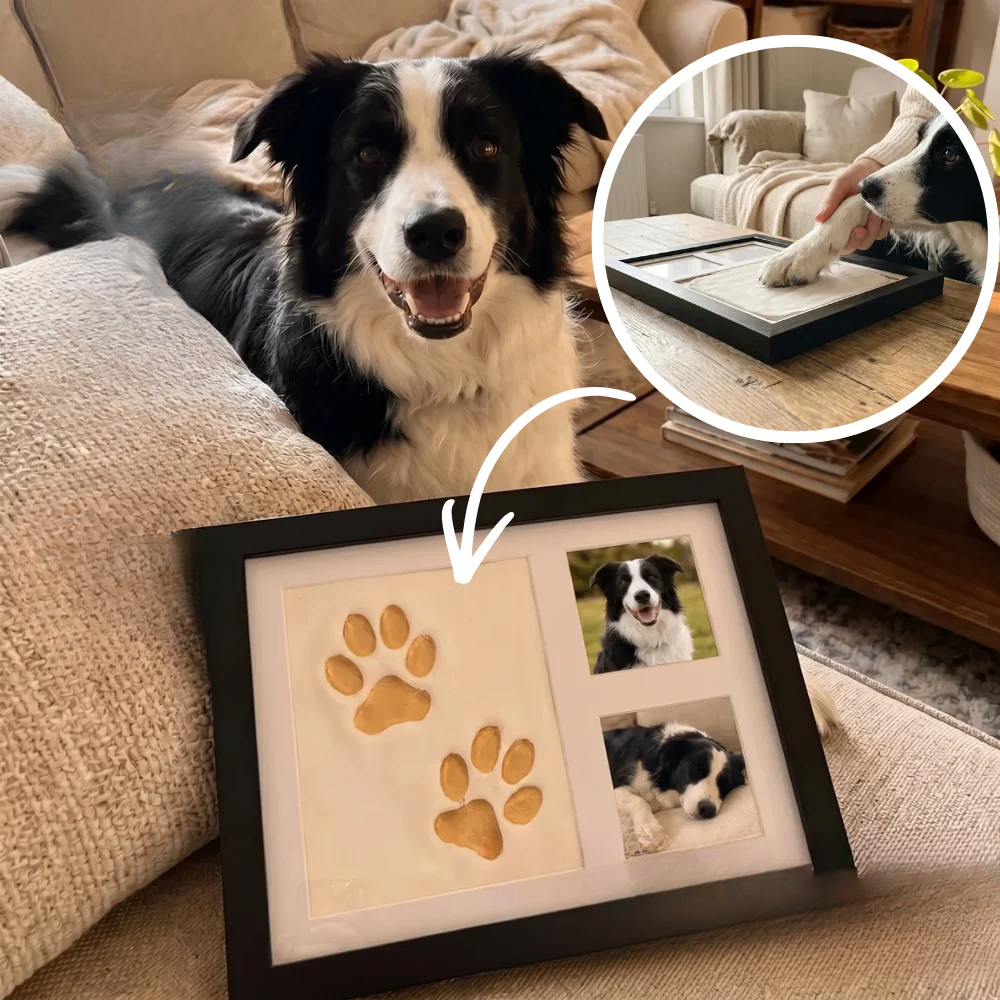 The Clay Paw Print Bundle