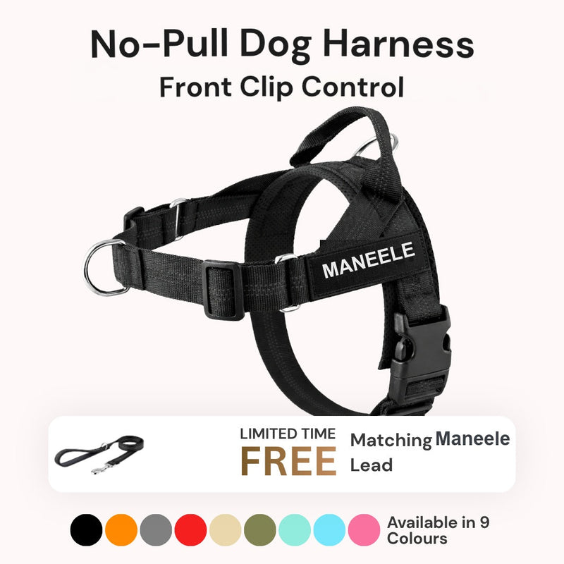 Paropet No-Pull Dog Harness