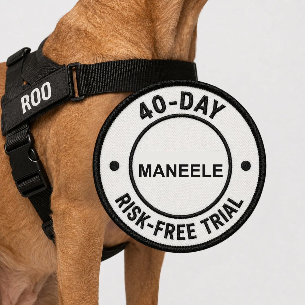 40-day risk-free trial