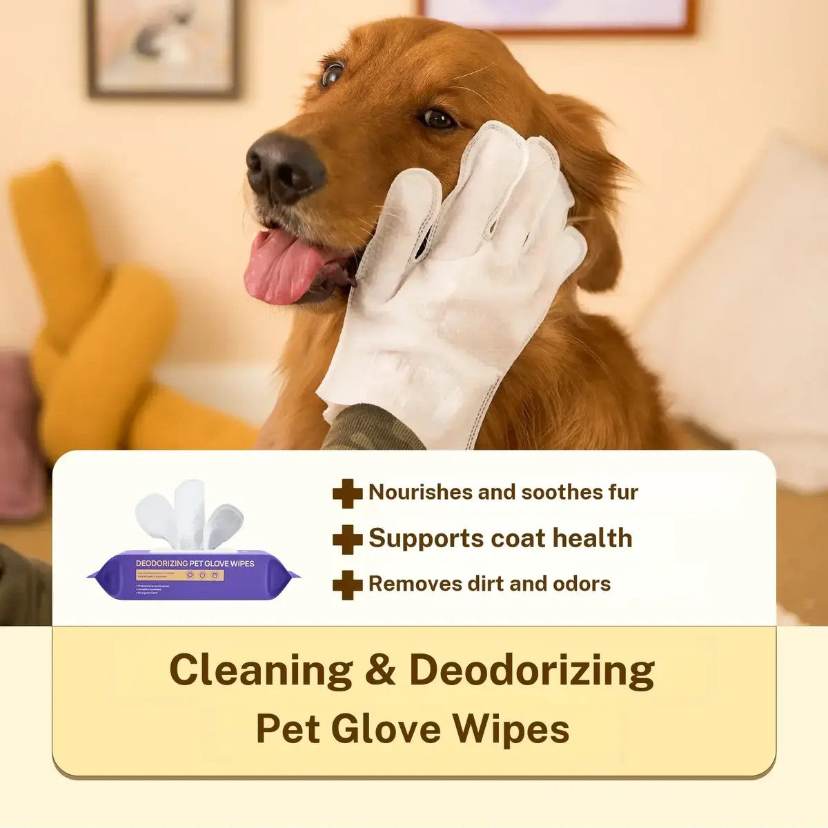 Dog being wiped with a Maneele pet glove wipe